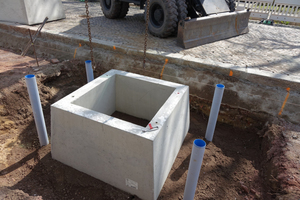  Speziell angefertigte Schutzglocken aus Beton nehmen statische Lasten auf und schützen die Wurzelballen der jungen Bäume.  