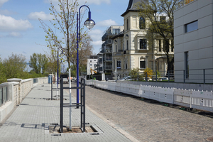  Frisches Grün für die Zollstraße in Magdeburg: Im Rahmen des Neubaus der Hochwasserschutzmauer ließ die Landeshauptstadt 70 junge Kaiserlinden setzen. 