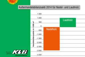  Das Nachwachsen von Holz benötigt viel Zeit, die Folge: Der regionale Nadelholzvorrat ging in den letzten Jahren bereits zurück, die Transportwege zur Beschaffung von Bauholz werden länger. Mittlerweile werden Nadelhölzer größtenteils aus dem Ausland importiert, um den Rohstoffbedarf in Deutschland zu decken. 