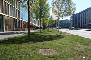  Frankfurt am Main, Europaviertel West. Baumquartiere in Kombination mit Sickermulden verbessern das Stadtklima und mindern die Überflutungsgefahr. Der Oberflächenabfluss von Verkehrsflächen versickert und verdunstet hier. Zusätzlich könnte das Regenwasser 