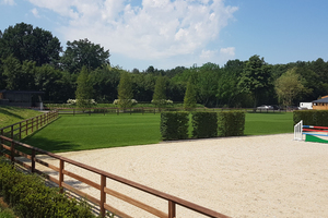  Wo früher Josef Neckermann seine Pferde auf Prüfungen im Dressurviereck vorbereitete, entstand im hessischen Dreieich vor kurzem ein neues Ausbildungszentrum für Springpferde. 