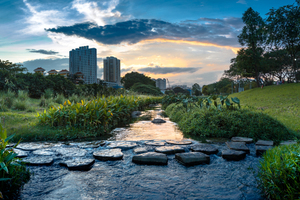  Blaue und grüne Infrastrukturen tragen dazu bei, Oberflächenwasser wieder naturnah zu bewirtschaften und Städte vor Überhitzung zu schützen. Hier der Bishan Park in Singapur: Das dort umgesetzte Programm dient der Trinkwasserversorgung und dem Hochwasserschutz. 