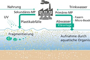  So entsteht Mikroplastik und gelangt in die Umwelt. Die mit steigender Kunststoffproduktion und ungeregelter Entsorgung einhergehende Zunahme von Mikroplastik in der aquatischen Umwelt kann sich zu einem gravierenden Problem für Mensch und Natur entwickeln. 