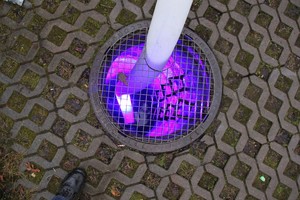  Das Bluelight-System arbeitet mit effizienter LED-Technik. Diese initiiert im Wellenbereich des Lichts die Härtung des Schlauchliners.  