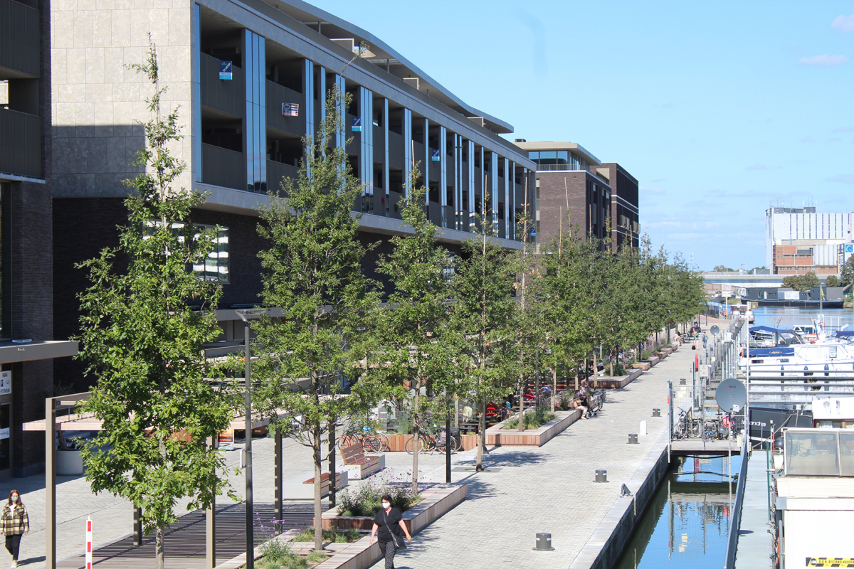 Im belgischen Hasselt – im neuen Wohn- und Einkaufskomplex Quartier Bleu – haben die verantwortlichen Stadtplaner auf das Wurzelkammersystem Wavin TreeTank gesetzt, um für die Stadtbäume ein gesundes Wachstum sicherzustellen.