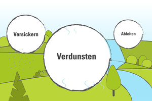  Dass sich Starkregenereignisse und Hitzeinseln beherrschen lassen, zeigt in vielen Fällen die Natur: Ein Großteil der Niederschläge verdunstet, was dazu führt, dass die Umgebung sich abkühlt. Das restliche Wasser versickert und nur noch wenig fließt in di 