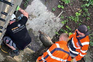  Im Werner Ortsteil Stockum erfolgte die Sanierung eines begehbaren Regenwasserkanals mit der Dimension DN 1000. 