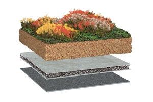  Gründach-Aufbau: Eine Substratschicht bietet Wurzeln Platz und speichert hinreichend Wasser für die Vegetation. 