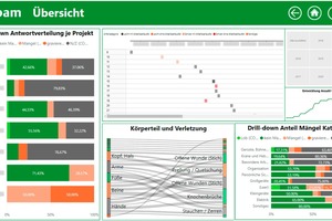  Dashboards zur Datenauswertung im Bereich Arbeits- und Gesundheitsschutz 