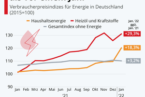  © Statistisches Bundesamt 