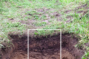  Die Grünmulde wurde nach langer Betriebszeit überprüft. Beim Abgraben der Bodenschichten wurden Schadstoffe in tieferen Bodenschichten nachgewiesen. 