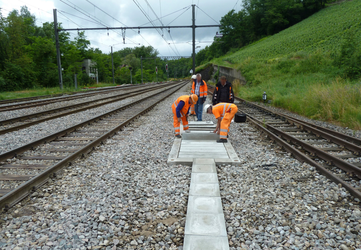 Der bestehende Rahmen entlang der Bahntrasse wurde freigelegt und konnte bei der Neuanlage weiterverwendet werden.