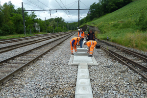  Der bestehende Rahmen entlang der Bahntrasse wurde freigelegt und konnte bei der Neuanlage weiterverwendet werden. 