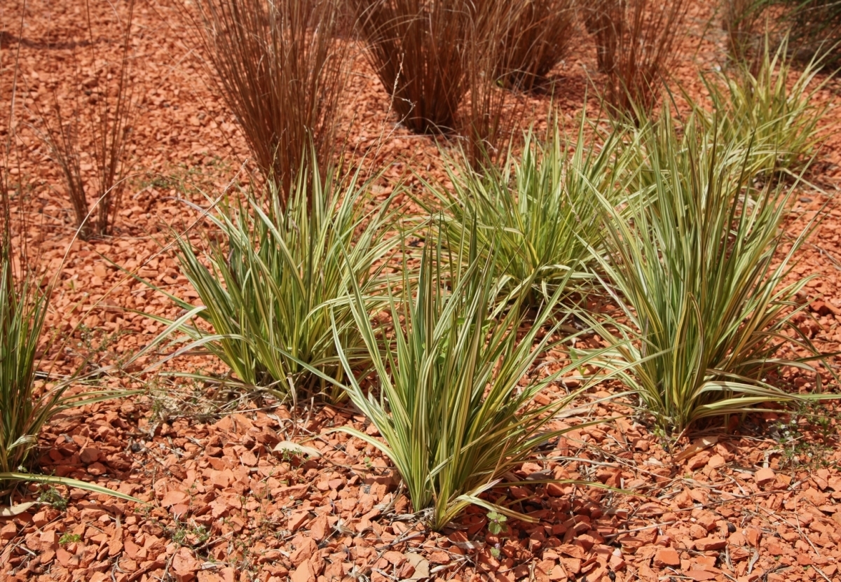 Im Garten- und Landschaftsbau kommt der Ziegelsplitt als Sekundärbaustoff – beispielsweise in Vegetationssubstraten oder Dränschichten – zum Einsatz.