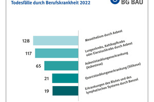  Die häufigsten, gemeldeten Berufskrankheiten waren 2022 laut BG Bau Lärmschwerhörigkeit, Hautkrebs durch Sonneneinstrahlung, Erkrankungen der Lendenwirbelsäure und Lungenkrebs durch Asbest (Asbestose). 