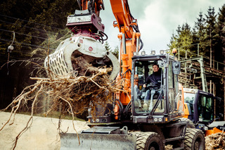 Anfallendes Wurzelwerk aus dem abgetragenen Erdreich wurde sortiert.