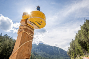  Durch den Einsatz von Concremote konnte die Ausschalfrist um 50% reduziert werden. 