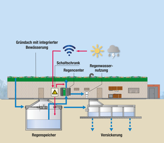 Schema der Regenwasserbewirtschaftung beim Neubau des SSC-Vereinsheims. Mit Fertigstellung im November 2023 werden 100 % des Regenwassers auf dem Gelände bewirtschaftet. Ein Kanalanschluss für Regenwasser existiert nicht.