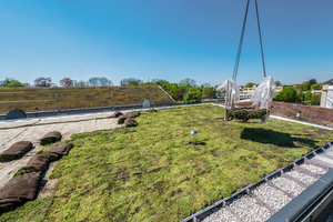  Das Gründach-Komplettsystem von Zambelli RIB-Roof und Knaufinsulation punktet in Sachen Nachhaltigkeit. 