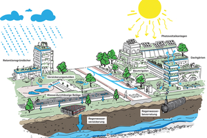  Als eine der besten Anpassungsstrategien an den Klimawandel gilt das Konzept der Schwammstadt 