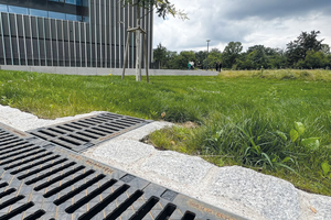  Gereinigtes Regenwasser für gesundes Stadtgrün 