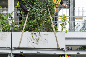  Optimale, projektbezogene Lösungen bei der wandgebundenen Fassadenbegrünung – dafür steht die Kooperation von Großewinkelmann und Helix Pflanzensysteme  