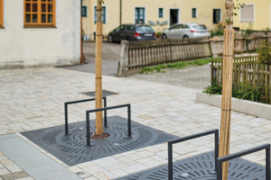  Baumstandort: zeitgemäßes Regenwassermanagement verbunden mit nachhaltigem Baumschutz  