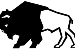  Das Markenzeichen von Bisotherm, der Bison, wurde schon 1970 als Bildzeichen geschützt. Hergeleitet wurde der Name Bisotherm und das Zeichen aus: „Bims-Sonder-Wärme (= Therm)“, also Bimssonderstein für Wärmedämmung 