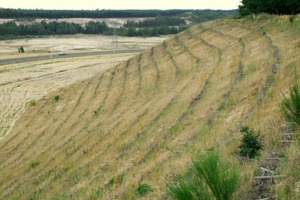  Erosionsschutz einer Kippe mit Totholzfaschinen und Magerrasen, nachher  