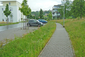  Kommunale Sickermulde zwischen Straße, Parkplätzen und Radweg. Reinigung des versickernden Regenwassers durch bewachsenen Oberboden. Die Pflege der Vegetation, Voraussetzung für optimale hydraulische Funktion, ist in diesem Beispiel allerdings mangelhaft. 