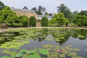  Der Seerosenteich ist das Herzstück der Stuttgarter Wilhelma. Im Maurischen Garten beherbergt dieses rund 40 Arten und Sorten der edlen Pflanze, deren Anblick die Besucher von Mai bis Oktober genießen. Seit dem Frühjahr 2013 erstrahlt das Becken in neuem Glanz 