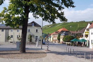  Für ca. 4.000 Quadratmeter Fläche im Zentrum von Randersacker lieferte der Natursteinspezialist Besco seinen geprüften und fair produzierten belgrano Granit. Durch das Einhalten der ILO-Normen von der Internationalen Arbeitsorganisation ist sichergestellt, dass die Steine unter sozialen Bedingungen abgebaut wurden. 