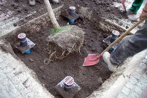  Eine saubere Lösung mit großer Wirkung: Der Einsatz des HS-Baumwurzelbelüfters stellt eine dauerhafte und ausreichende Versorgung der Baumwurzeln mit Luft und Wasser sicherFoto: Funke Kunststoffe GmbH 