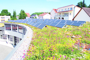  Stadtwerke Pfullendorf, Gründach mit Fotovoltaik. Die Halterung der Solarpaneele stammt vom Dachbegrüner, um die Auflast durch das Substrat zu gewährleisten. 