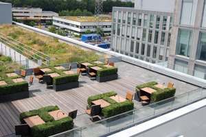  oben: Arbeitsplätze in luftiger Höhe mit Blick auf eine Blumenwieseunten: Alles „dachbegrünt“ – oben die Dächer und unten die Tiefgaragendecke 