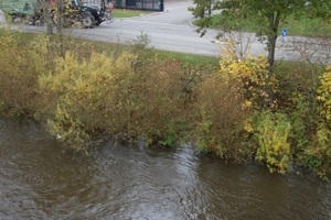  Die Donau bei Donaueschingen. In ca. 100 Meter Entfernung vom Ufer, unter der Hoffläche, liegt die Sedimentationsanlage zur Reinigung des abfließenden Oberflächenwassers 