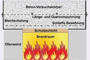  Schema: Versuchskörper mit Schutzschicht (Querschnitt) 