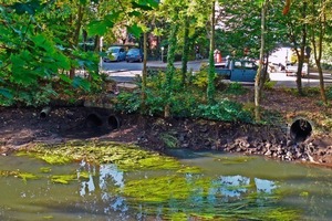  Die jährliche Trockenlegung der Ilmenau zu Wartungszwecken definierte das Zeitfenster für die Durchführung von Sanierungsmaßnahmen an den in die Ilmenau einmündenden Regenwassersammlern der Lüneburger Innenstadt 