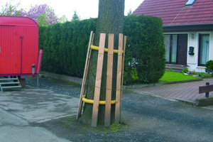  3 Ein alltägliches Bild auf einer Baustelle: Üblicherweise werden Bäume im Baustellenbereich mit einem Stammschutz aus Holzbrettern verschalt                                          Fotos: Funke Kunststoffe GmbH 