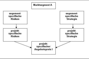  Abbildung 2: Verknüpfung risikooptimierter und marktsegmentorientierter Ansätze 