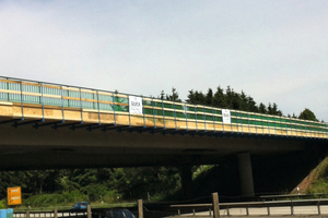  Quick Schutzgerüst an B 200-Brücke bei Flensburg 