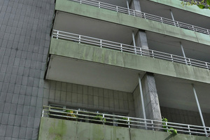  Vorher: Auf dem parkähnlichen Hanggrundstück stehen zahlreiche hohe Bäume. Fassade und Balkone der Wohnanlage Mettmann waren stark bemoost und verschmutzt.  