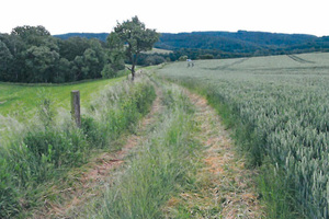  Vorher: Der Verbindungsweg  zwischen den Ortschaften Methau und Erlbach war für Radfahrer und landwirtschaftliche Anlieger eine Zumutung 