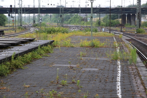  Ungepflegter Bahnsteig in Heidelberg. Auch im reichen Süden Deutschlands steht nicht alles zum Besten. 