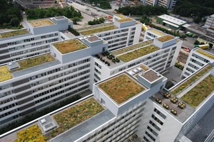  Blick vom Hochhaus auf den größten Teil der begrünten Dächer der EnBW 