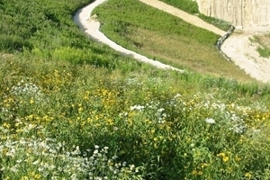  Die neu angelegten Flächen fügen sich harmonisch in das Landschaftsbild ein 